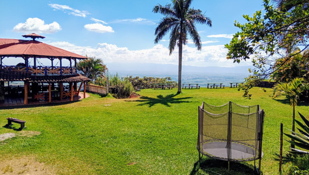 diseño sin título (26)