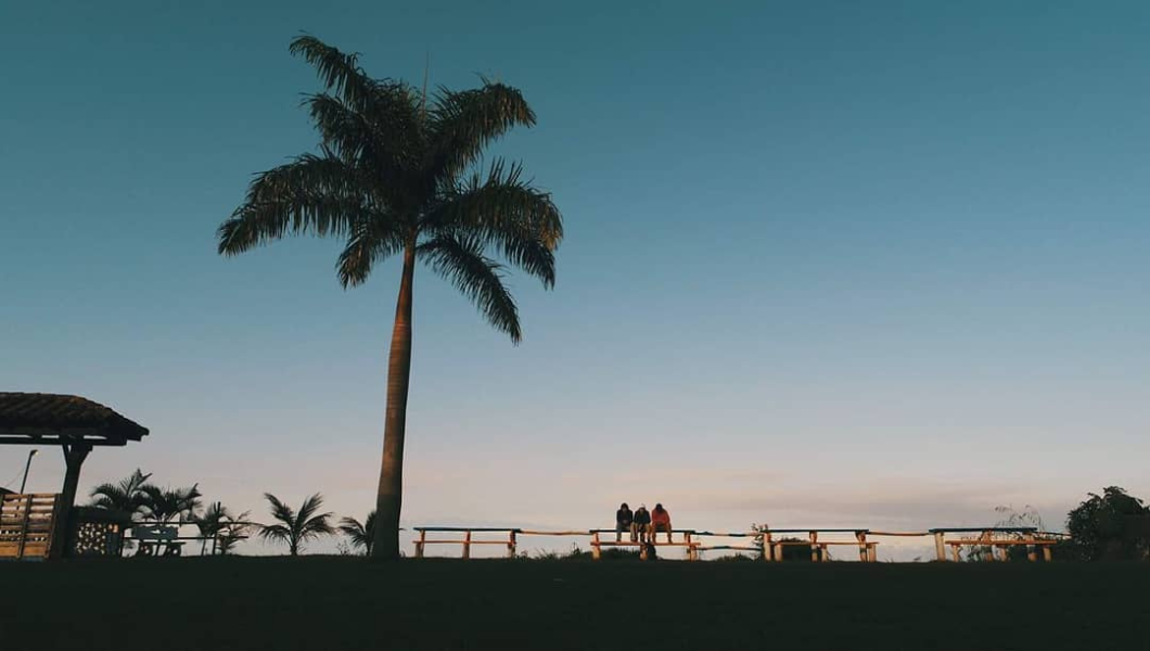 diseño sin título (32)