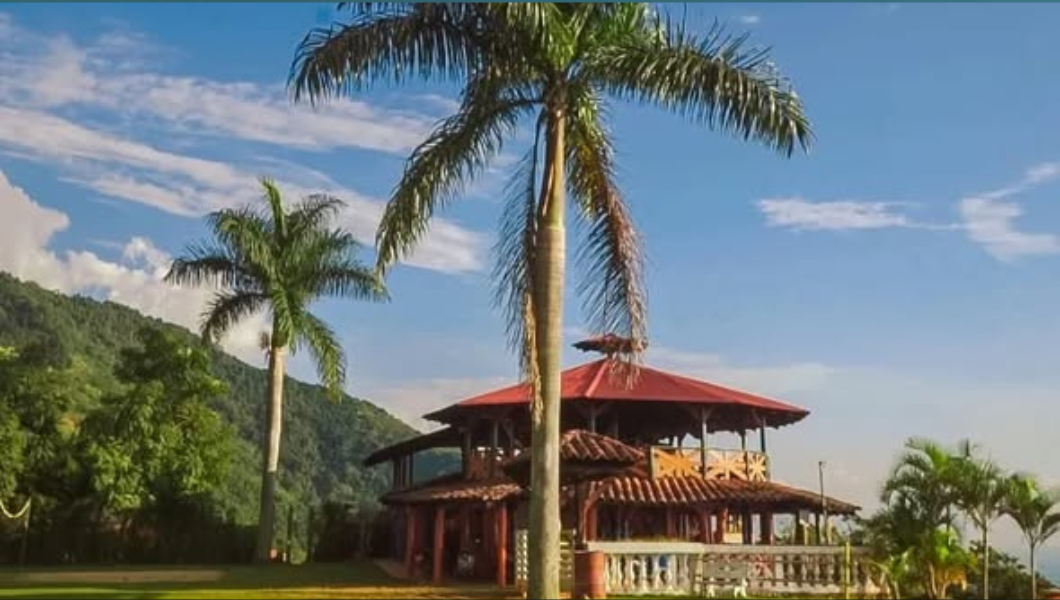 diseño sin título (33)