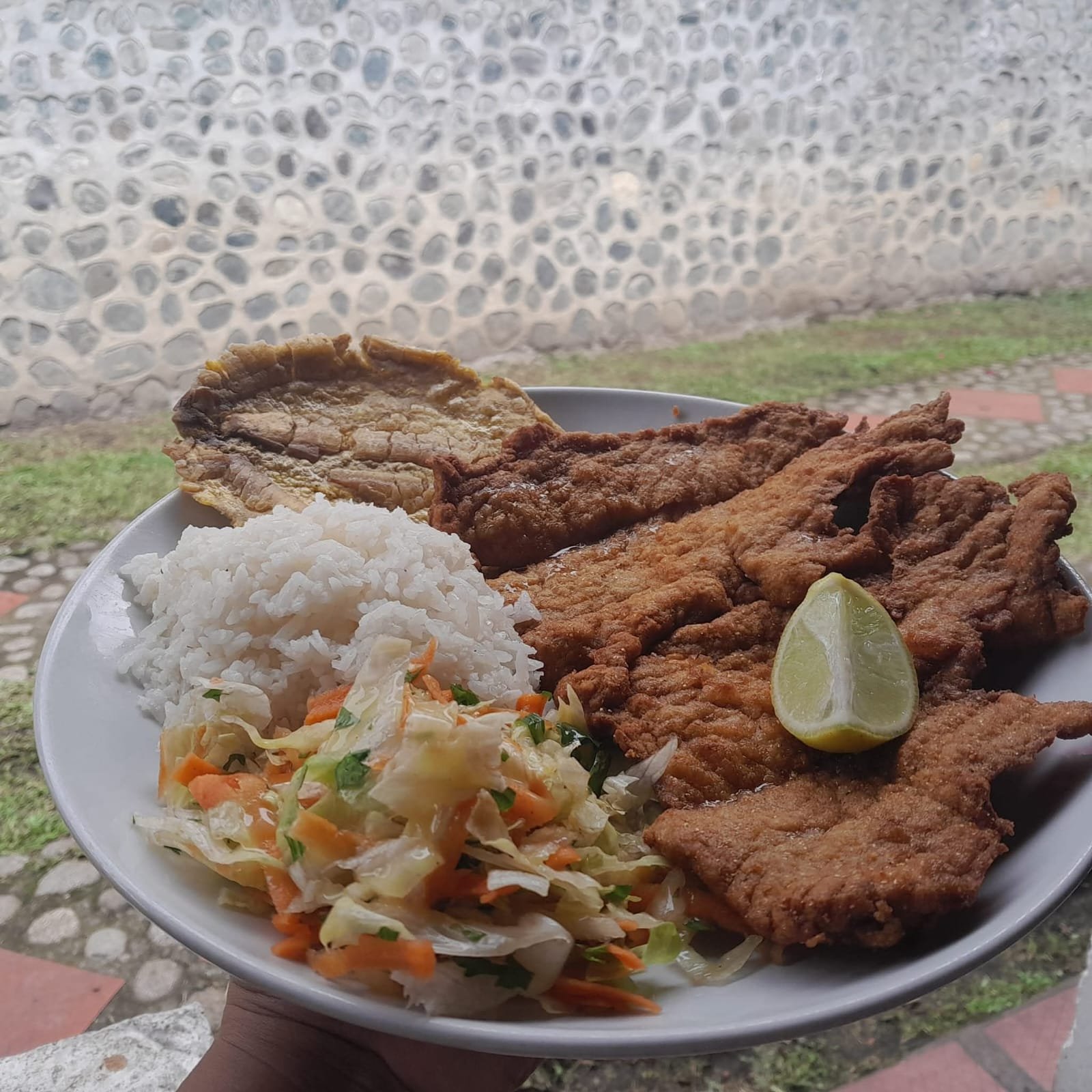 Alimentación Mirador El Gualanday