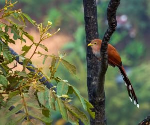 whatsapp image 2026 03 04 at 11.44.51 pm (2)